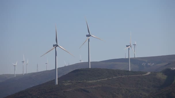 风力发电机组 可再生能源发电站 — 图库视频影像