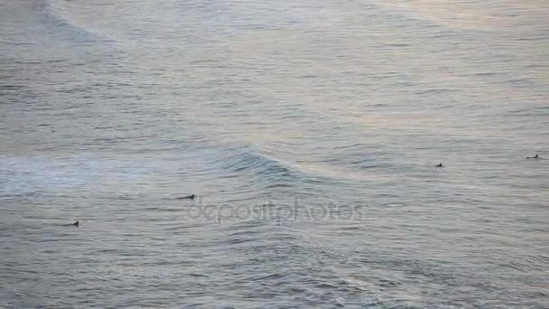 Surfer Σιλουέτα Πάνω Στο Κύμα Του Ωκεανού — Αρχείο Βίντεο