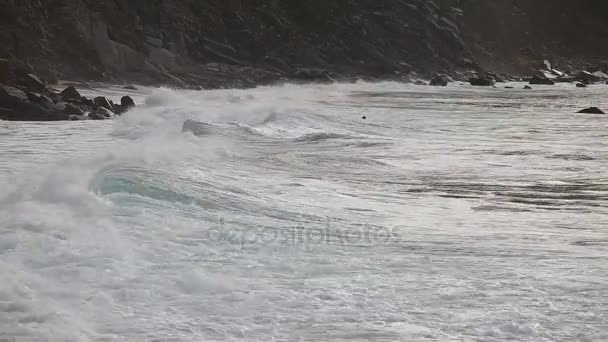 Silhueta Surfista Onda Oceano — Vídeo de Stock