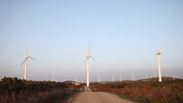Turbiny Wiatrowe Tworzenie Odnawialnych Źródeł Energii Krajobraz Wsi — Wideo stockowe
