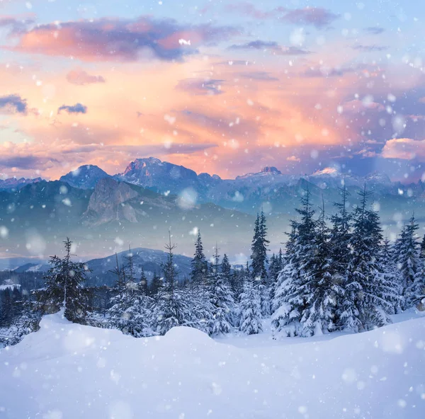 Hermosas montañas alpinas de invierno colinas nevadas —  Fotos de Stock