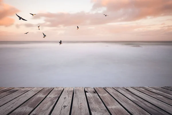 Colorful atlantic oceean beautiful sunset and flying seagull — Stock Photo, Image