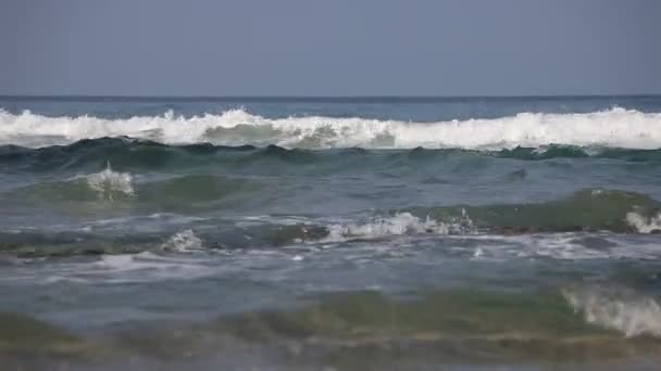 Las Olas Playa Vista Cerca — Vídeos de Stock