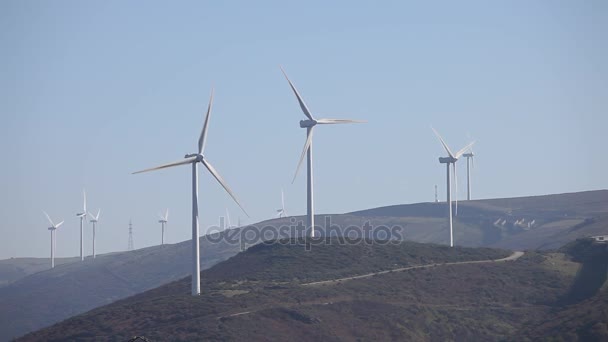 Вітроенергетичні Турбіни Відновлюваної Енергетики — стокове відео