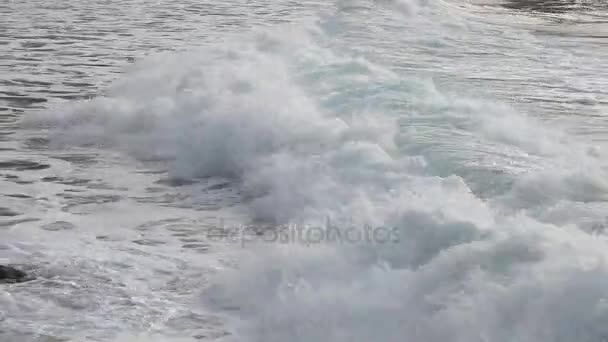 Les Vagues Sur Plage Vue Rapprochée — Video