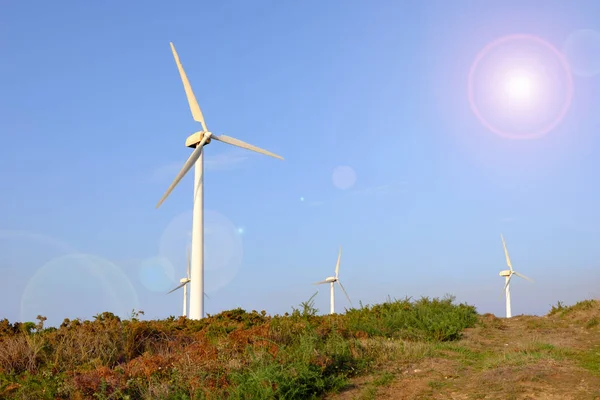 Ветроэнергетические турбины — стоковое фото