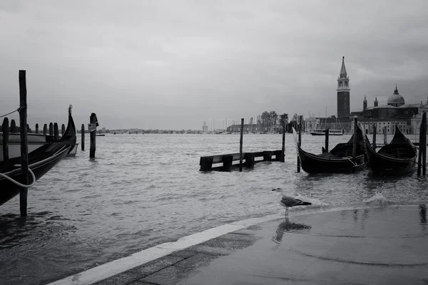 Imagen en blanco y negro de las góndolas en el muelle de la Plaza San Marco — Foto de Stock