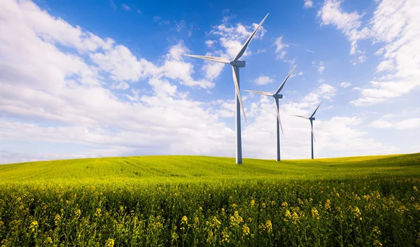 Эко зеленая электростанция, ветряные турбины на весеннем поле — стоковое фото