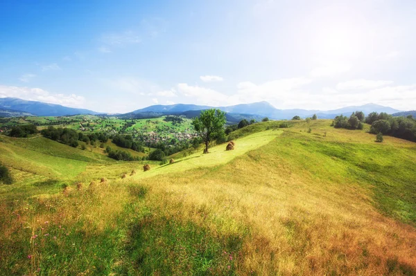 Primavera colorido montanha verde prado paisagem — Fotografia de Stock