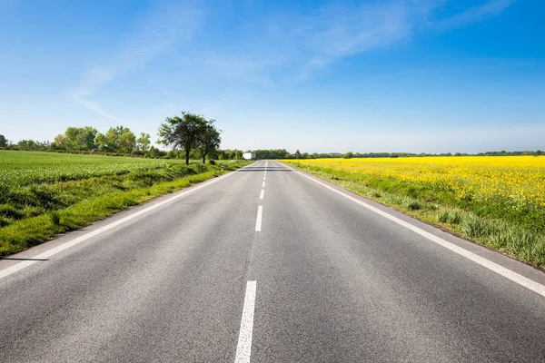 Obszarów wiejskich asfaltową drogą wśród pól słoneczny wiosna — Zdjęcie stockowe