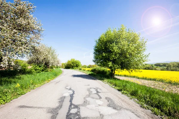 Camino de asfalto rural entre el campo soleado de primavera —  Fotos de Stock