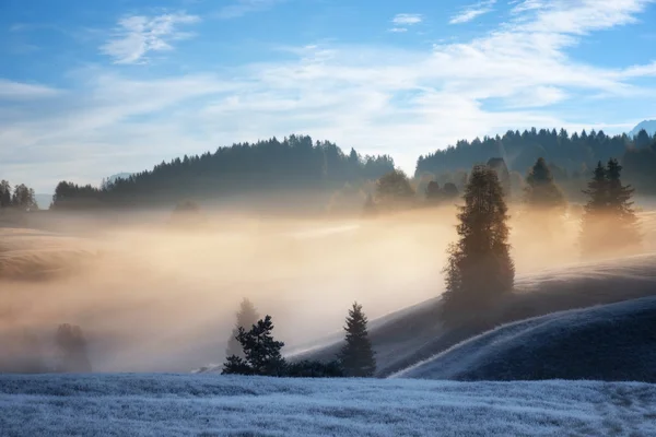 Underbart alpint landskap av höst dimmigt morgon. Seiser Alm, Alpe di Siusi med Langkofel Mountain vid Sunrise, Alto Adige, Sydtyrolen, Italien, Europa. — Stockfoto