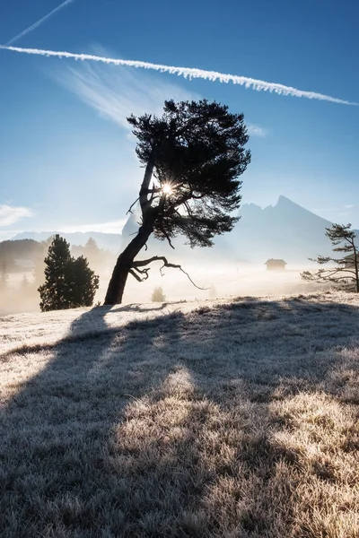 Wunderschöne alpine Landschaft des herbstlichen Nebels am Morgen. Seiseralm, Seiser Alm mit Langkofel im Sonnenaufgang, Südtirol, Italien, Europa. — Stockfoto