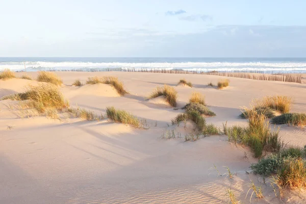 Hermosa playa de dunas de arena blanca por el océano. Florida, Estados Unidos — Foto de Stock