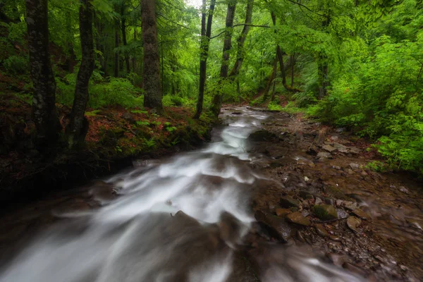 Baharda Dağ Akıntısı. Dumanlı Dağlar, Usa — Stok fotoğraf