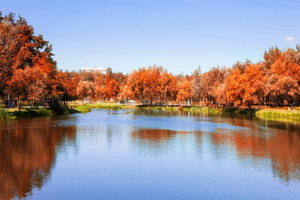 Autumn nature beautiful landscape. Red and yellow trees near pond at the garden — 图库照片