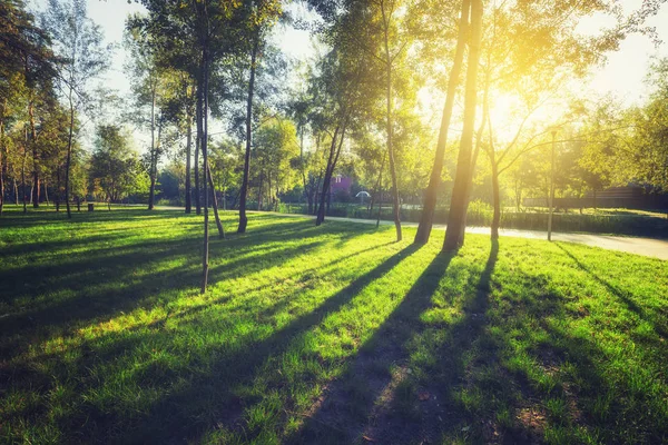 Feixe do nascer do sol no belo parque de verão — Fotografia de Stock