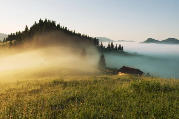 Mooie mistige landschap in de bergen. Fantastische ochtend gloeiende door zonlicht. — Stockfoto