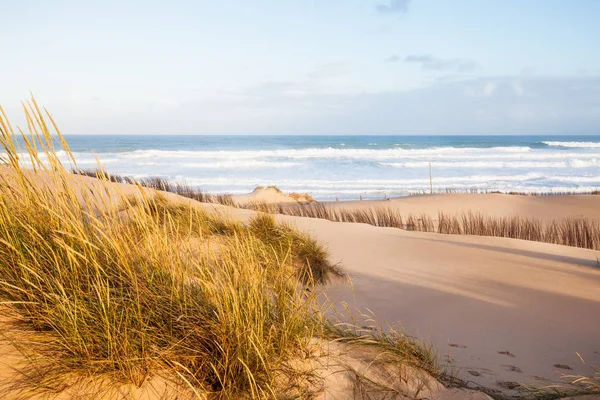 Sand dunes and ocean at sunny morning, Pensacola, Florida. — Stockfoto