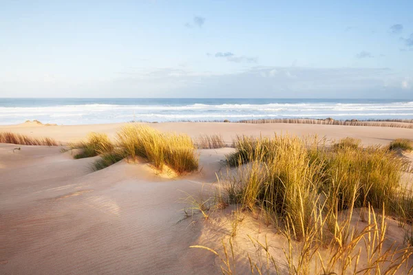 Sand dunes and ocean at sunny morning, Pensacola, Florida. — Stock Photo, Image