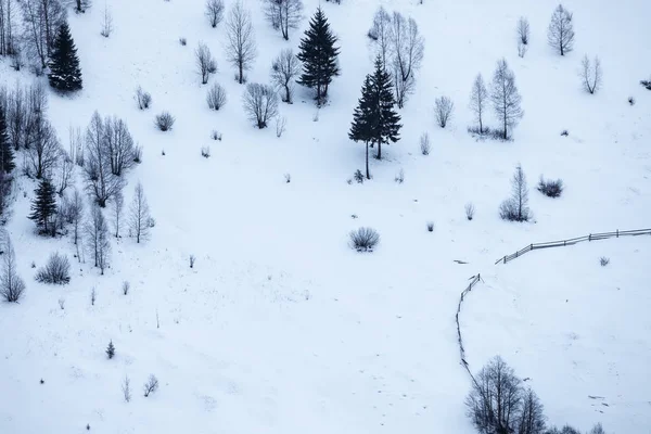 Paesaggio montano invernale minimo con alberi — Foto Stock