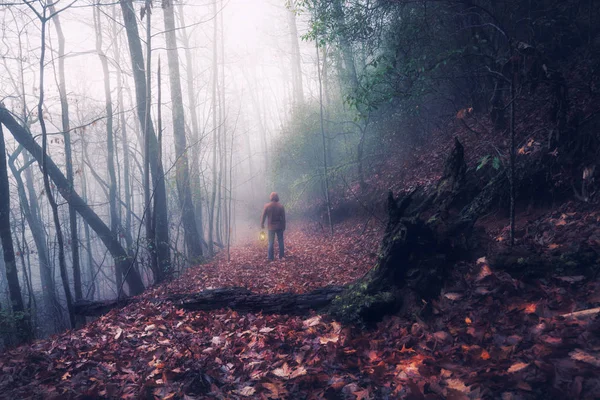在雾蒙蒙的森林里拿着灯的人 — 图库照片