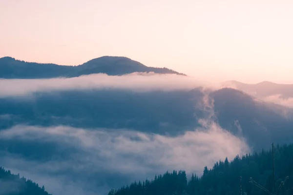 가 일출 Clingmans 돔, 그레이트 안개 자욱한 산 국립 공원, 테네시, 미국에서 — 스톡 사진