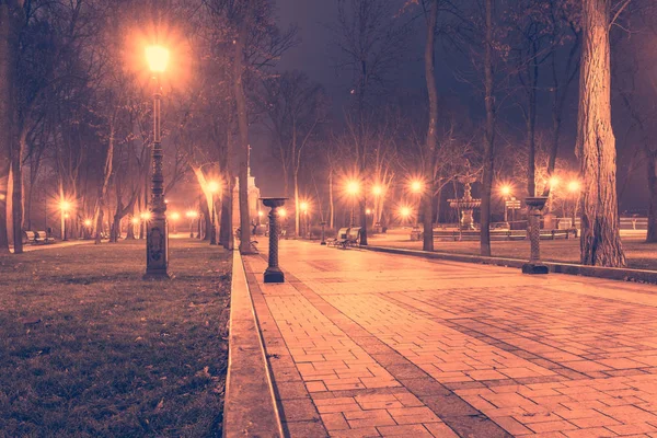 Beco da noite parque enevoado com lanternas ardentes, árvores e bancos. Cidade noturna outono parque — Fotografia de Stock