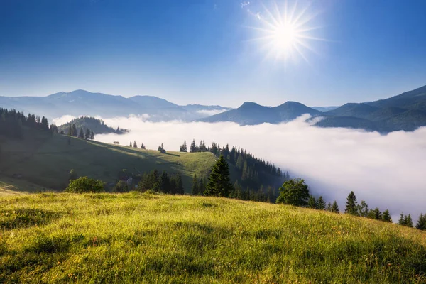 Krásné mlhavé krajina v horách. Fantastický ráno žhnoucí sluneční světlo. — Stock fotografie