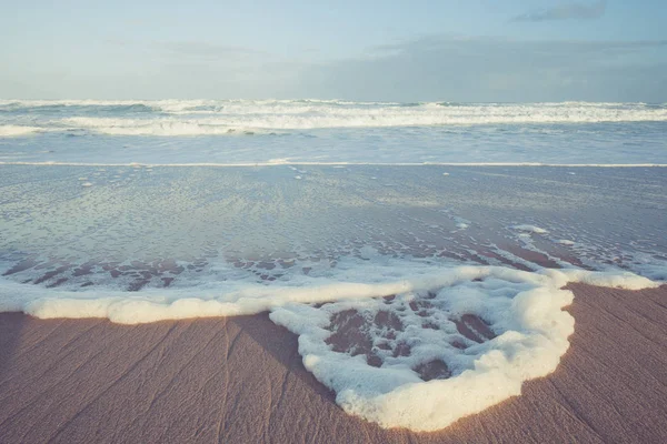 플로리다에서 펜사콜라 해변에서 극단적인 광각 경치입니다. 갈매기, 분리기, 푸른 하늘, 에메랄드 바다 스톡 이미지