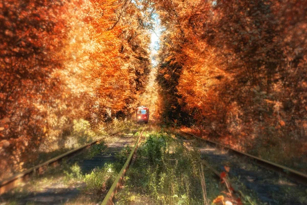 Piękna magiczna uliczka w parku z kolorowymi drzewami i tramwajem. Jesienny charakter tła — Zdjęcie stockowe
