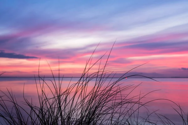Zachód Słońca Oceanu Ponad Wysokimi Kępkami Trawy Jako Sylwetka — Zdjęcie stockowe