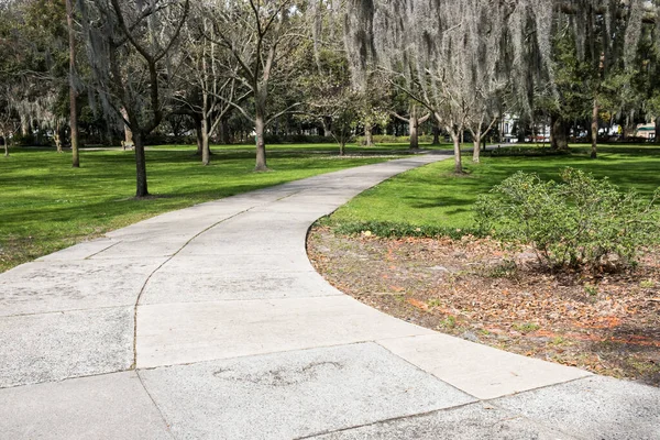 Híres Élő Southern Live Oaks Borított Spanyol Moha Savannah Történelmi — Stock Fotó