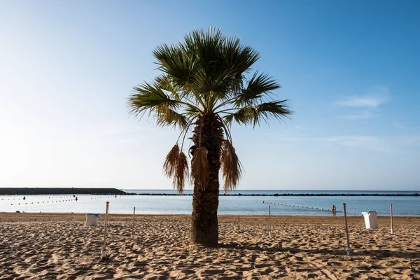 Plage Tropicale Playa Las Teresitas Tenerife Îles Canaries — Photo