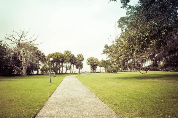 Parque Primavera Verde Com Grama Fresca Árvores Palmas Bela Natureza — Fotografia de Stock