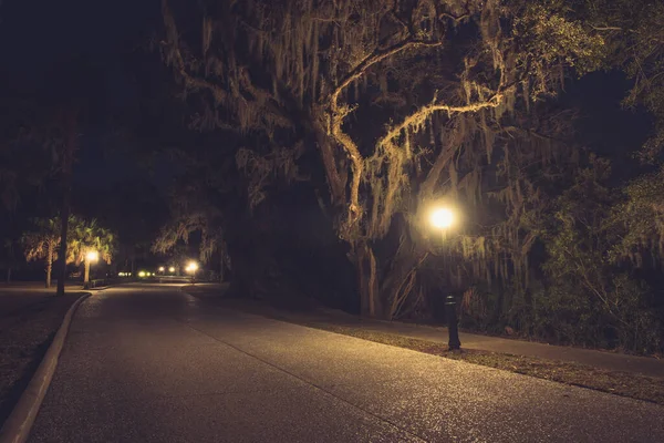 Mossy Oak Trees Parque Verão Verde Noite Jekyll Island Geórgia — Fotografia de Stock