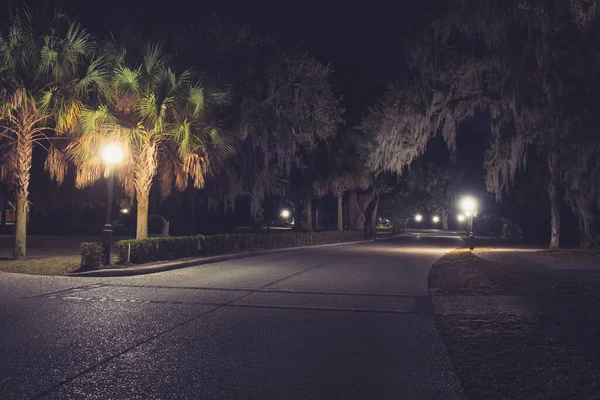 Chênes Moussus Dans Vert Parc Été Nuit Jekyll Island Géorgie — Photo