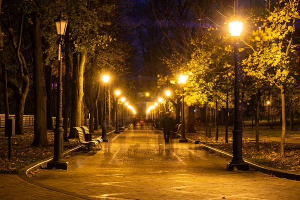 夜城公园木制长椅 街灯和公园小巷 — 图库照片