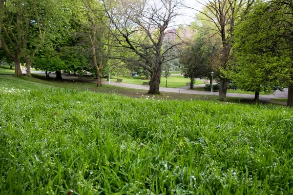 Parco Verde Della Città Primavera Parco Naturale Paesaggio — Foto Stock