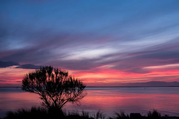 木々や草のシルエットを超えた海の夕日 — ストック写真