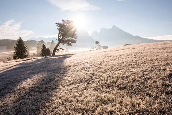Υπέροχο Αλπικό Τοπίο Του Φθινοπώρου Ομίχλη Πρωί Sepie Alm Ελβετικές — Φωτογραφία Αρχείου