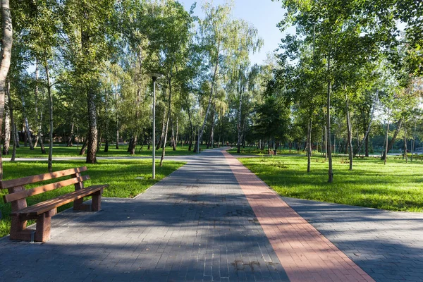 Grüner Stadtpark Sonnigen Sommertagen — Stockfoto