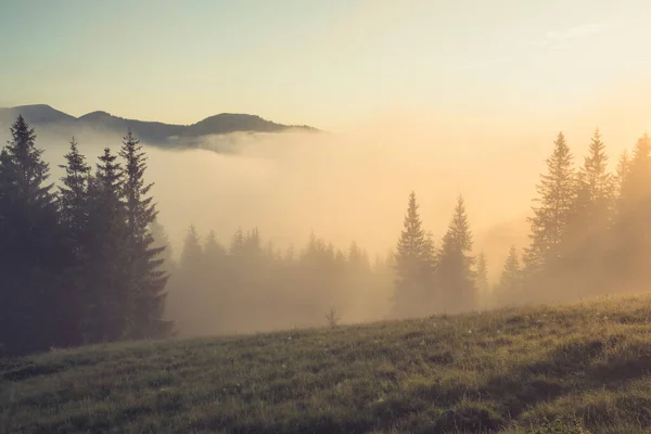 Красивий Туманний Пейзаж Горах Фантастичний Ранок Світиться Сонячним Світлом — стокове фото