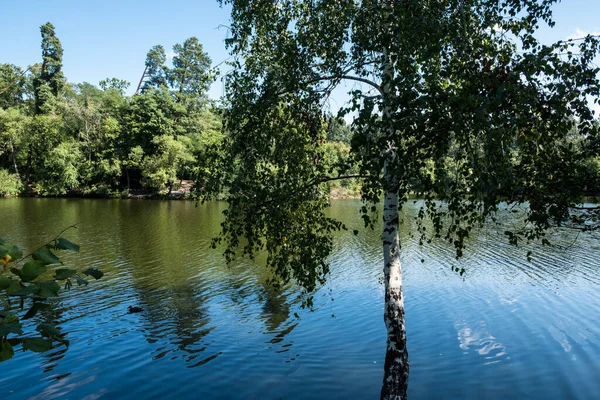 夏には大都市の中心部にある公園の景色 真ん中と緑の木々のラグーンと 夜の光の中で — ストック写真