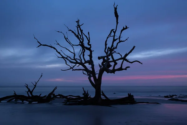 Poranne Światło Fale Plaży Driftwood Oceanie Atlantyckim Wyspie Jekyll Gruzja — Zdjęcie stockowe