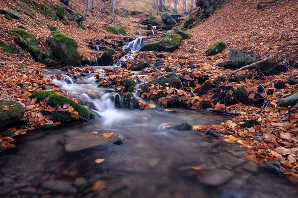 Ruisseau Automne Bois Avec Feuillage Arbres Jaunes Rochers Montagne Forestière — Photo