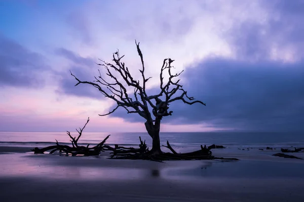 Poranne Światło Fale Plaży Driftwood Oceanie Atlantyckim Wyspie Jekyll Gruzja — Zdjęcie stockowe