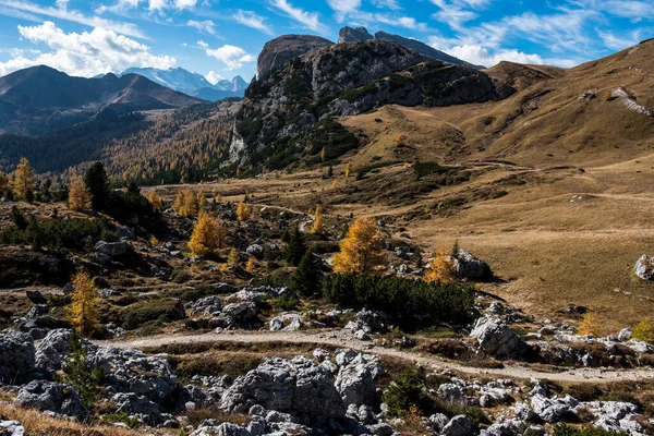惊人的秋季乡村景观与黄色树木在前景和山丘的背景 多洛米特阿尔卑斯山 意大利 — 图库照片
