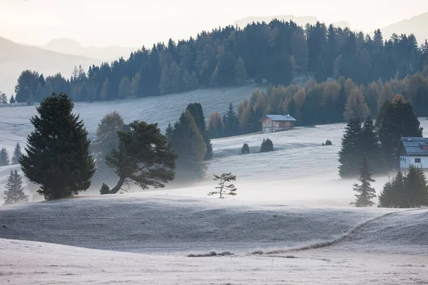 秋天雾蒙蒙的早晨的美妙阿尔卑斯景观 塞塞尔 阿尔姆 阿尔佩迪苏西与朗科费尔山日出 阿尔托阿迪格 南蒂罗尔 意大利 — 图库照片