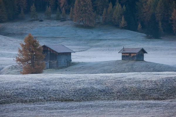 Prachtige Alpine Landschap Van Herfst Mistig Ochtend Seiser Alm Alpe — Stockfoto